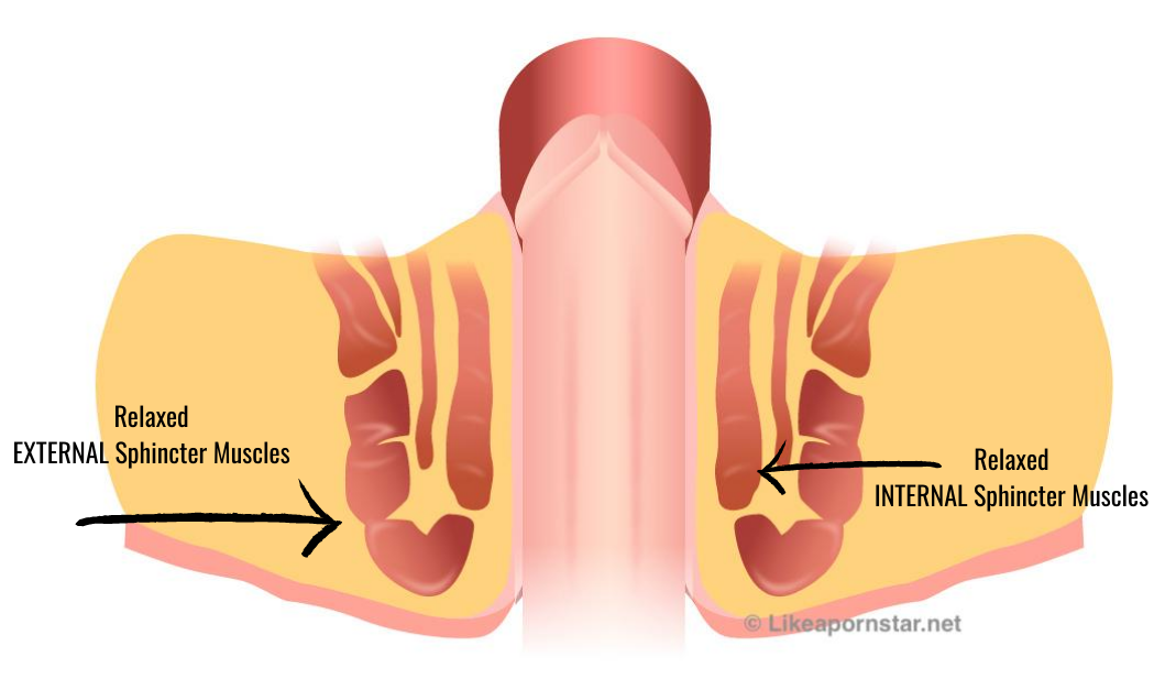 How To Bottom Without Pain Or Stains!