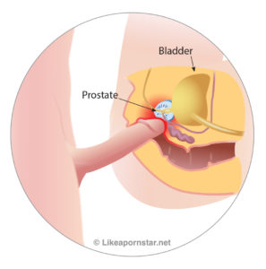 Anal Sex Diagram - How To Bottom Like A Porn Star: Book, Audio, Ebook and PDF