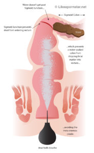 184px x 300px - How To Bottom: A Guide To Gay Anal Sex