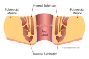 anxiety tight sphincter