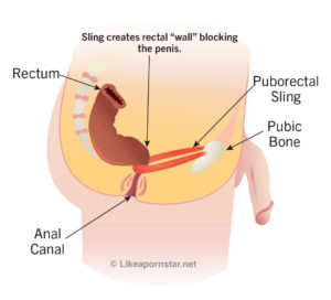 best position to try anal for the first time