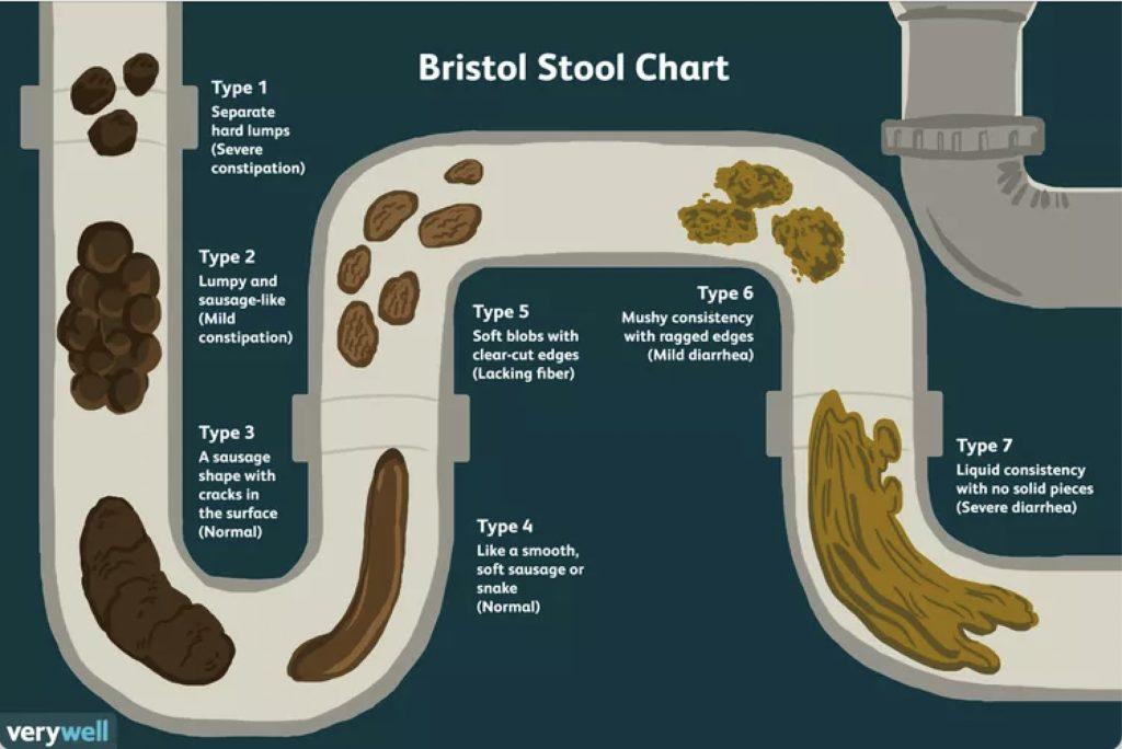 How The Bristol Stool Scale Can Help You Bottom - Like A Pornstar